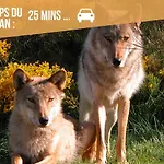 דירה Le Point Sublime - Netflix/wifi Fibre/terrasse