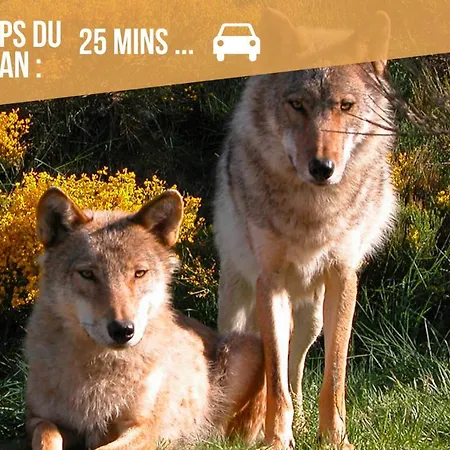 Apartamento Le Point Sublime - Netflix/wifi Fibre/terrasse