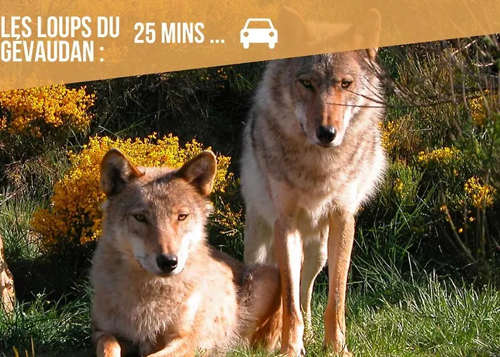 Apartmán Le Point Sublime - Netflix/wifi Fibre/terrasse